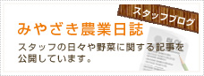 風土のスタッフブログ「宮崎農業日誌」