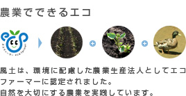 農業でできるエコ。風土は、環境に配慮した農業生産法人としてエコファーマーに認定されました。自然を大切にする農業を実践しています。