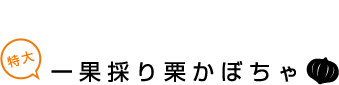 風土のこだわり一果採り栗かぼちゃ